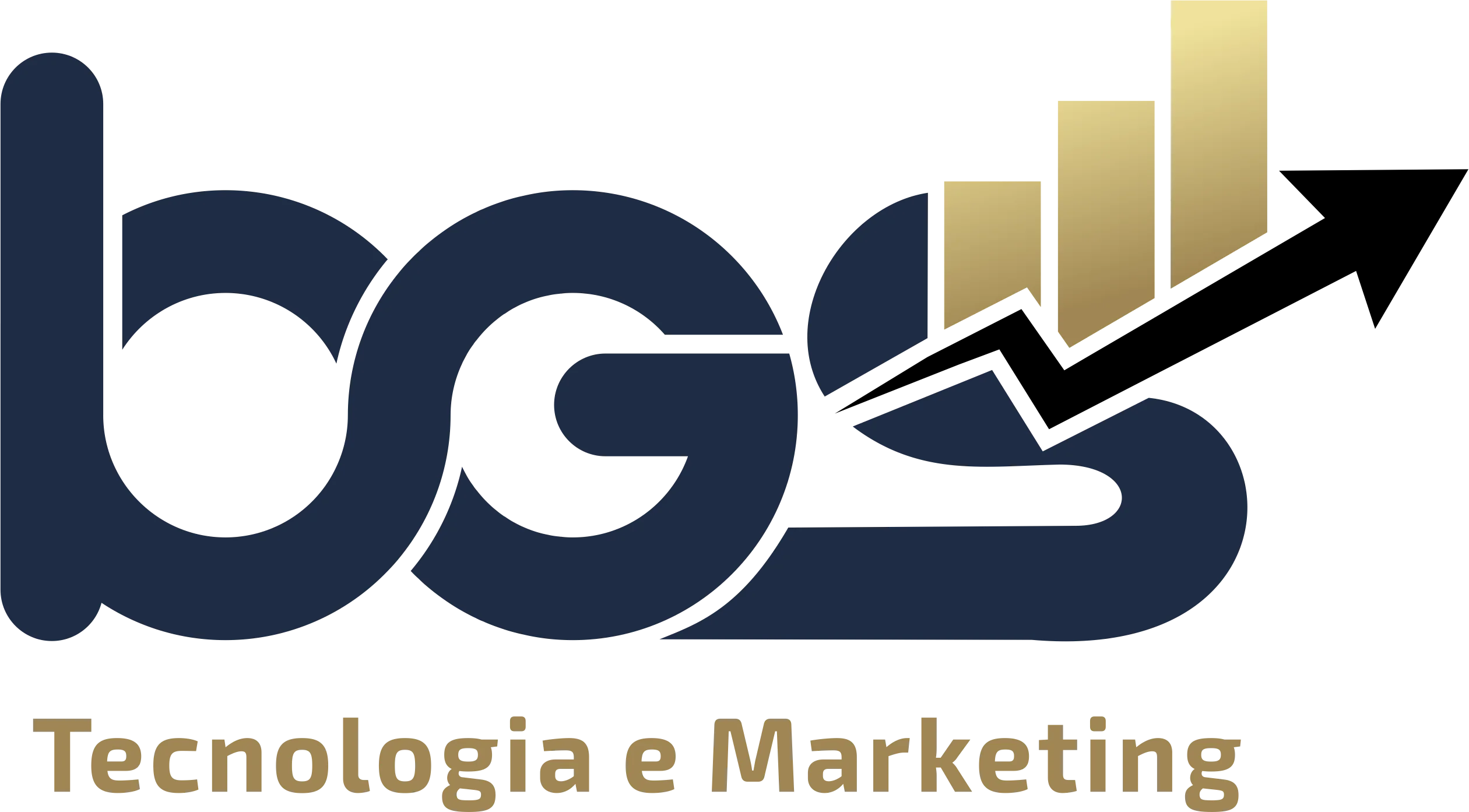 Automação de Processos para Marketing Digital - BGS Tecnologia e ...